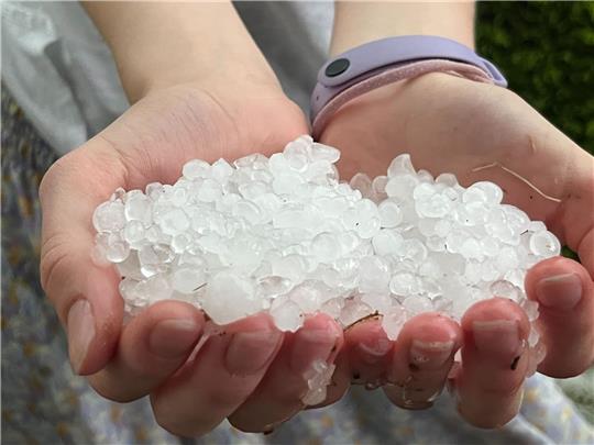 Hagelkörner nach einem Unwetter.