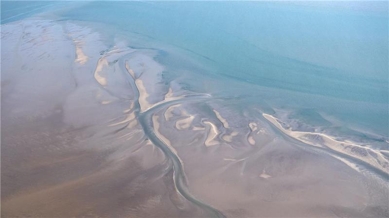 Hai-Experten haben in der Nordsee zwischen der ostfriesischen Insel Borkum und den westfriesischen Inseln in den Niederlanden ein Gebiet eingegrenzt, in dem sich regelmäßig neugeborene und junge Hundshaie aufhalten. (Archivbild)