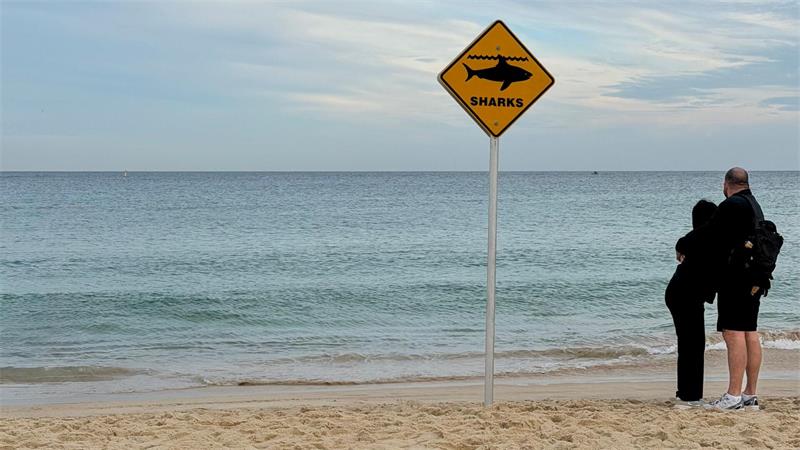 Nach Hai-Attacke: Australierin kämpft sich zurück ins Leben Haiangriffe in Australien nehmen Experten zufolge zu.