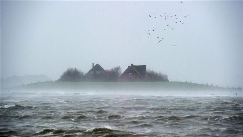 Halligen werden bei Sturmfluten teils überspült. (Archivbild)