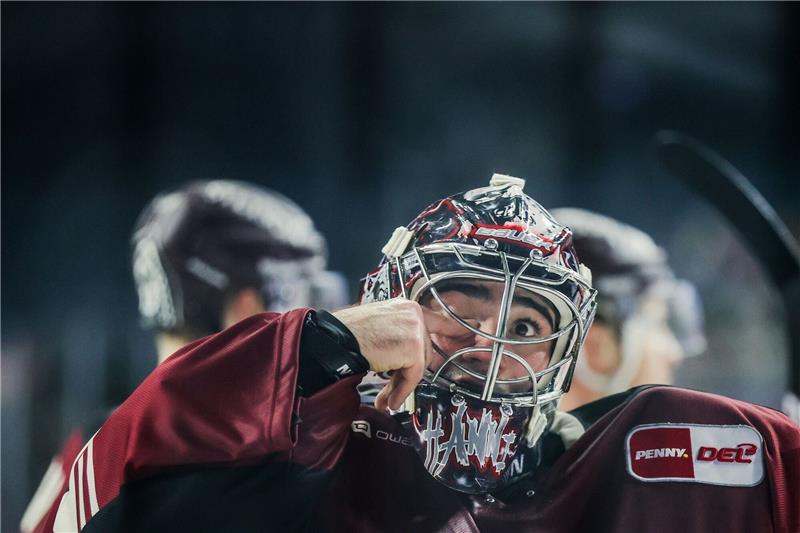 Grizzlys Wolfsburg holen Eishockey-Torwart Weitzmann Hannibal Weitzmann im Einsatz für die Kölner Haie.
