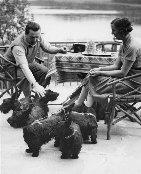 Hans John und Adelina Hinrichsen mit Hunden aus ihrer Zucht. Aufnahme von Heinz von Perckhammer. Erschienen in: „Die Dame“ 21/1931.