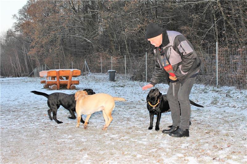Hartmut Pahl ist regelmäßig mit seinen Hunden auf dem eingezäunten Gelände für Hundefreunde unterwegs und entsetzt über die Anfeindungen. Archivfoto: Leifeld