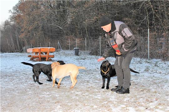 Hartmut Pahl ist regelmäßig mit seinen Hunden auf dem eingezäunten Gelände für Hundefreunde unterwegs und entsetzt über die Anfeindungen. Archivfoto: Leifeld