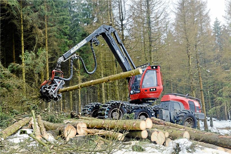 Harvesterarbeiten entlang der B 242: Die Bäume sind entweder durch Borkenkäferbefall abgestorben oder so stark geschädigt, dass sie umzukippen drohen.  Fotos: Hörseljau