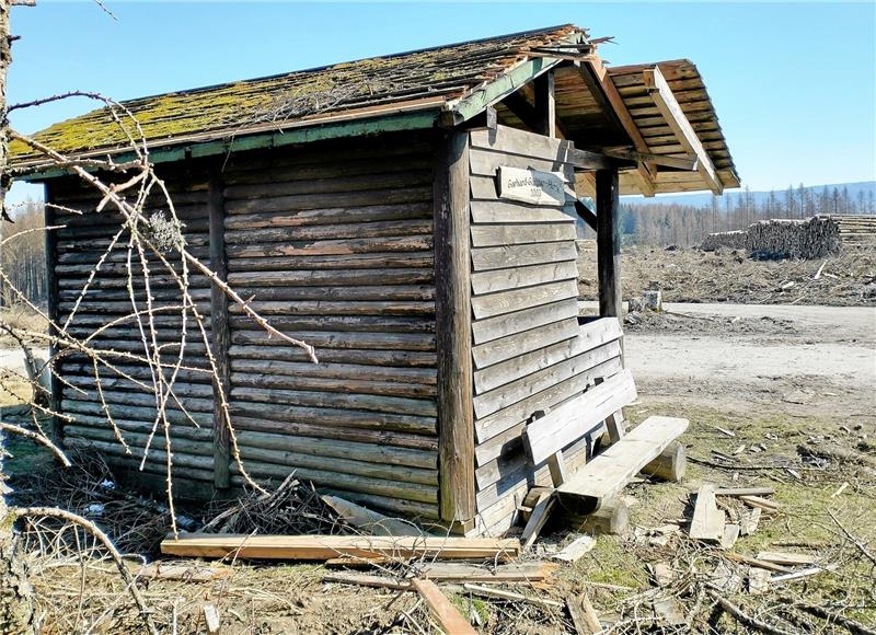 Sturmschäden bei Buntenbock sind jetzt behoben Harzklub bessert Sturmschäden aus