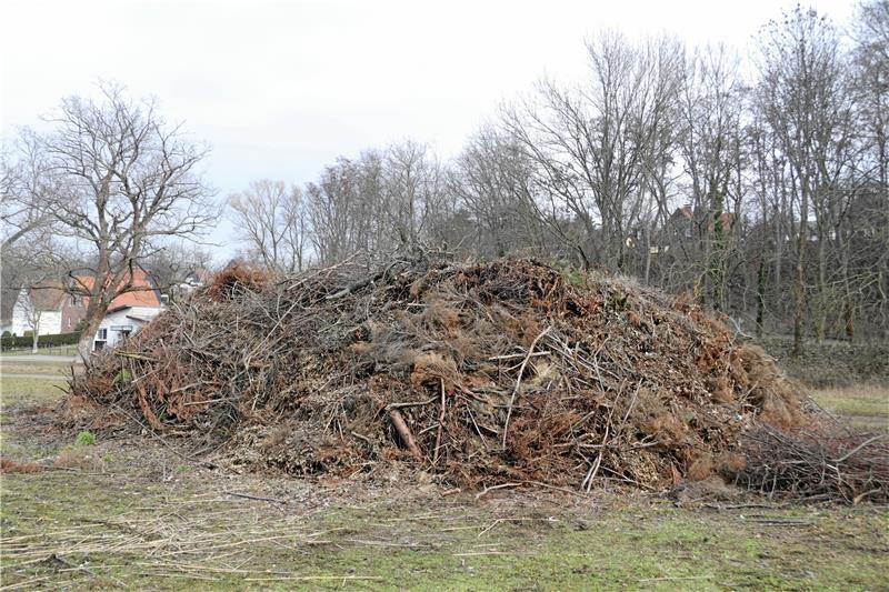 Hoffnungsfunken für das Osterfeuer am Bollrich Haufenweise Holz: In Vienenburg liegt der Stapel seit dem Vorjahr, als zuerst Regen und später Ärger für Absagen sorgten. Am 21. April soll er brennen. Foto: Sowa