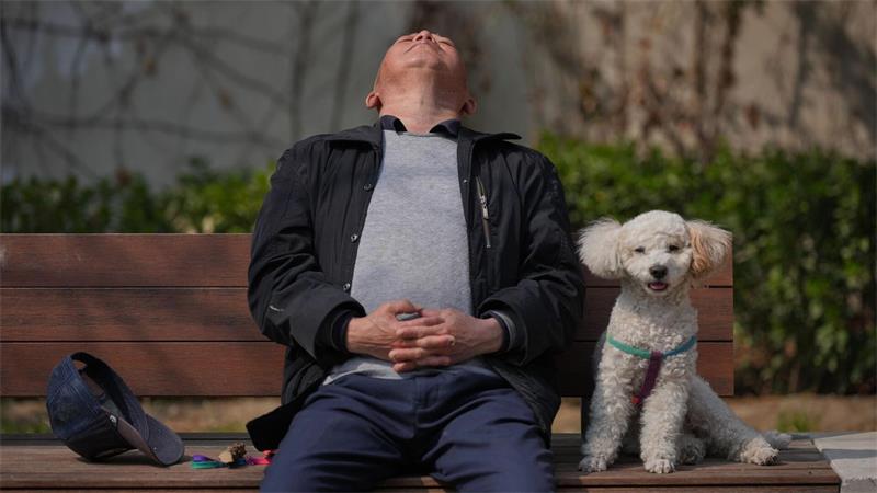Haustiere werden in China immer beliebter, während die Geburtenrate auf einem Rekordtief steht. (Symbolbild)