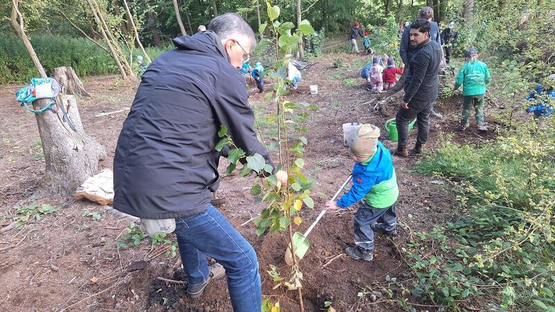 Baumpflanzaktion mit Familien im Waldkindergarten Goslar Heinrich und sein Opa pflanzen eine Sommerlinde.