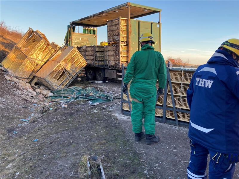 Zwei Einsatzkräfte stehen vor umgekippten Behältern mit Hühnerkäfigen.