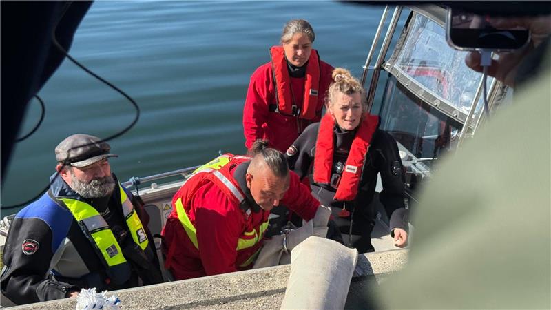 Helfer besteigen ein Boot, um zum Wal hinauszufahren. 