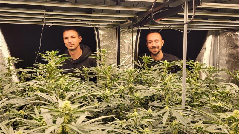 Goslarer Cannabis-Club wächst und sieht noch Potenzial Henrik Rühe (l.) und Tiago Möcker in der Anbauhalle: Seit Ende März wird an Vereinsmitglieder Cannabis ausgegeben.