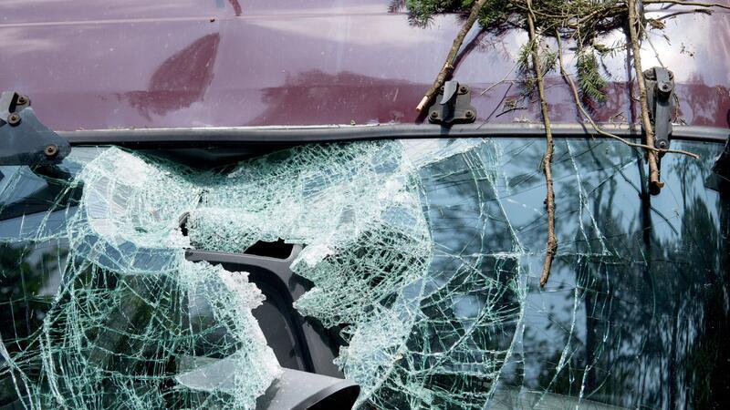 Sturm und Unwetter: So bleiben Sie und Ihr Auto sicher Herabfallende Äste können ein parkendes Auto schwer beschädigen.