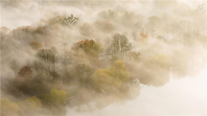 Herbstlicher Nebel am Morgen
