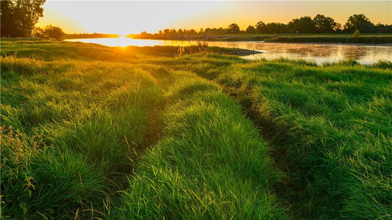 Bilder des Tages Herbstlicher Sonnenaufgang