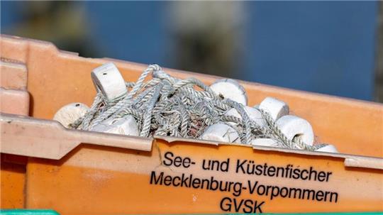 Heringe dürfen unter bestimmten Bedingungen beispielsweise mit Reusen auch kommendes Jahr gefangen werden.