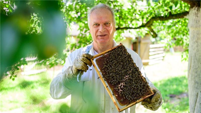 Trend zum Imker - Kiekeberg vermittelt Wissen Hermann Benesch, Vorsitzender des Imkervereins am Kiekeberg e.V., hält auf dem Museumsgelände einen Rahmen mit Bienenwaben in den Händen.