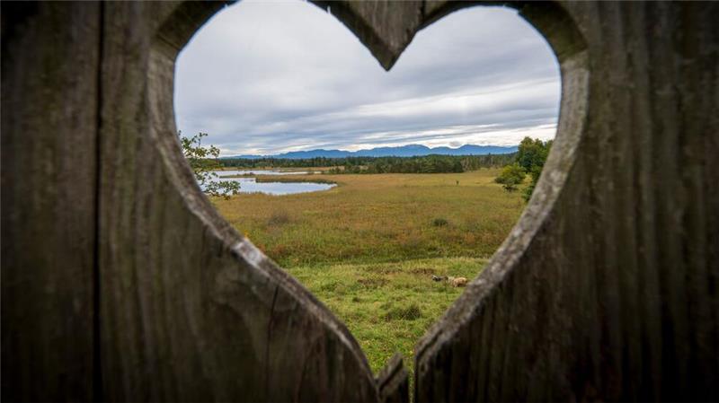 Herz in Bayern: auf einer Wiese am nördlichen Ende der Osterseen steht eine alte Toilettentür mit einem herzförmigen Fenster, durch das man die Alpen sehen kann.