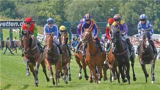 How is the final stretch of the 145th Bad Harzburg Horse Racing Week ...