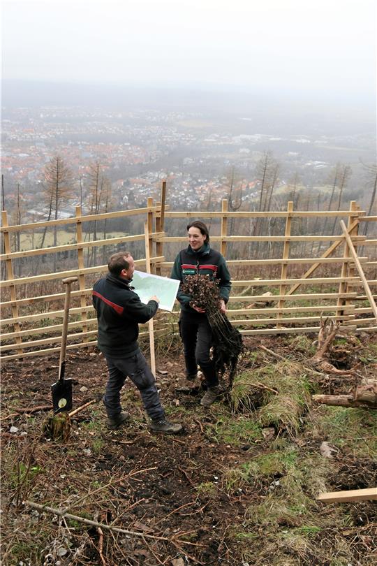 Hier entsteht ein neuer Wald:  Marcel Möller und Paula Machunze an der Pflanzfläche. Am Nordhang des Rammelsbergs werden 60.000 neue Bäume gepflanzt. Foto: Hartmann