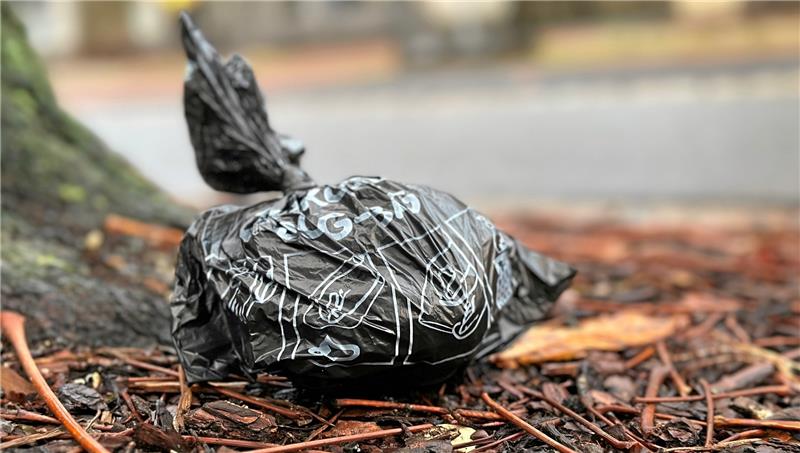Gibt es in Harzburg bald gratis Beutel für Fiffis Dreck? Hier hat ein Hundebesitzer eine Sache richtig und eine andere komplett falsch gemacht: Der Kot ist zwar im Beutel, aber der liegt in der Weltgeschichte herum. Fotos: Schlegel/Pixabay
