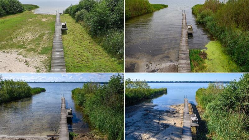 Hier ist eine Badestelle am Ufer des Arendsees in der Altmark zu sehen - im Jahr 2023 (oben links), 2024 (oben rechts), 2025 (unten links) und 2026 (unten rechts). 