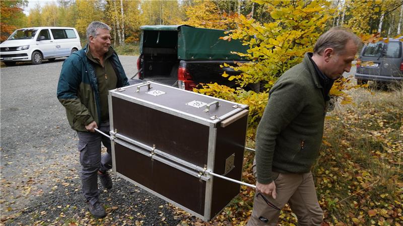 Hier packt der Chef noch selbst mit an: Nationalparkleiter Dr. Roland Pietsch (l.) hilft Ole Anders, die Transportkiste samt Raubkatze zum Gehege zu tragen.