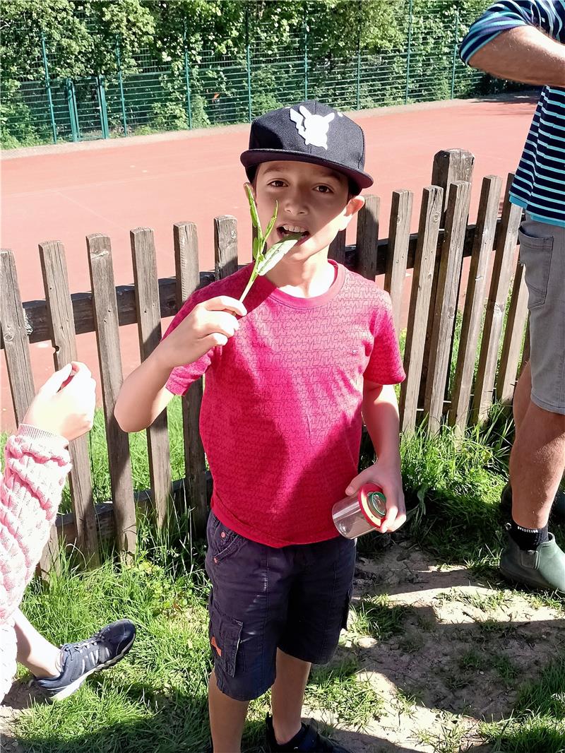 Aus dem TV bekannt: Kinder mit Extrembotaniker unterwegs Hier wird mutig Sauerampfer probiert. Foto: Jenzora