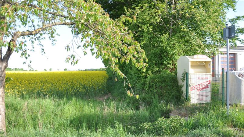 Gelbes Rapsfeld hinter grünem Busch und Baum mit überhängendem Ast, rechts ein weißer Kleidercontainer mit roter Aufschrift.