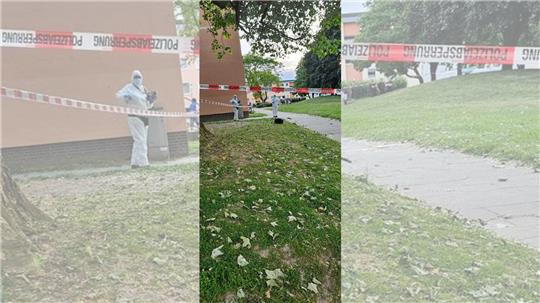 Hinter einem Mehrfamilienhaus in Salzgitter hat es einen Messerangriff gegeben. Foto: Polizei