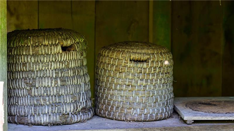 Trend zum Imker - Kiekeberg vermittelt Wissen Historische Bienenstöcke stehen auf dem Gelände vom Freilichtmuseum am Kiekeberg. Das eigene Gemüse züchten und ein Bienenvolk halten, liegt im Trend - immer mehr Menschen imkern.