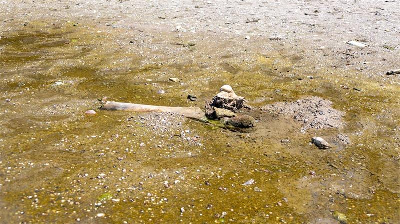 Hitze enthüllt Mammut-Unterkiefer in bulgarischem Donaudorf