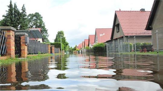 Hochwasser ist nicht gleich Flut. Foto: Georg-Stefan Russew/dpa-Zentralbild/dpa-tmn