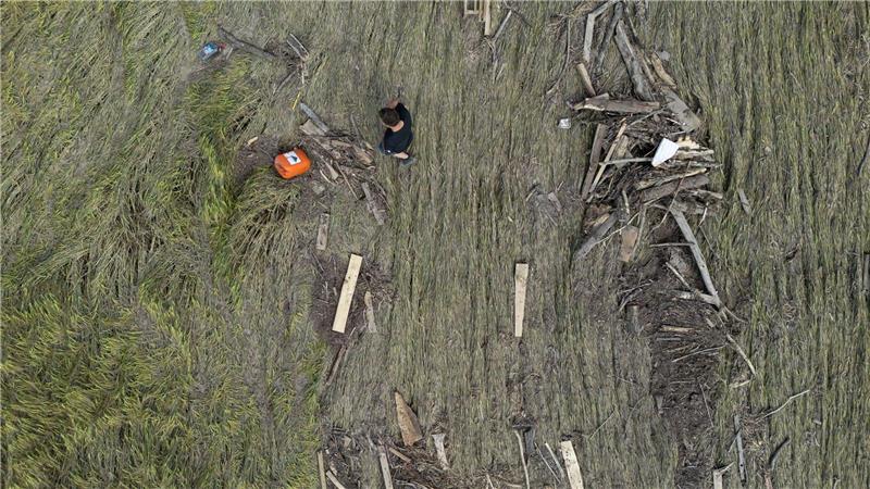 Dürre und Starkregen: Besserer Schutz für Landwirte? Hochwasserschäden auf einem baden-württembergischen Getreidefeld im Jahr 2024. Steigende Unwetter- und Dürregefahr bedeutend steigende Risiken für die deutsche Landwirtschaft. (Symbolbild)