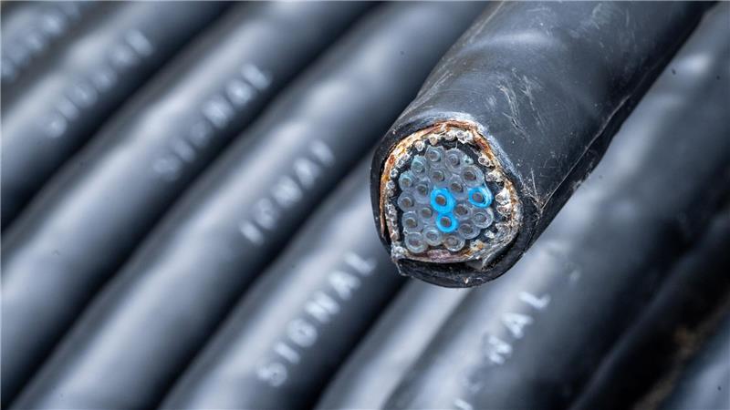 Höchstwahrscheinlich wegen Kabelschäden an einem Bahnübergang kommt es auf der Bahnstrecke zwischen Erfurt und Sangerhausen zu Beeinträchtigungen. (Symbolbild) 