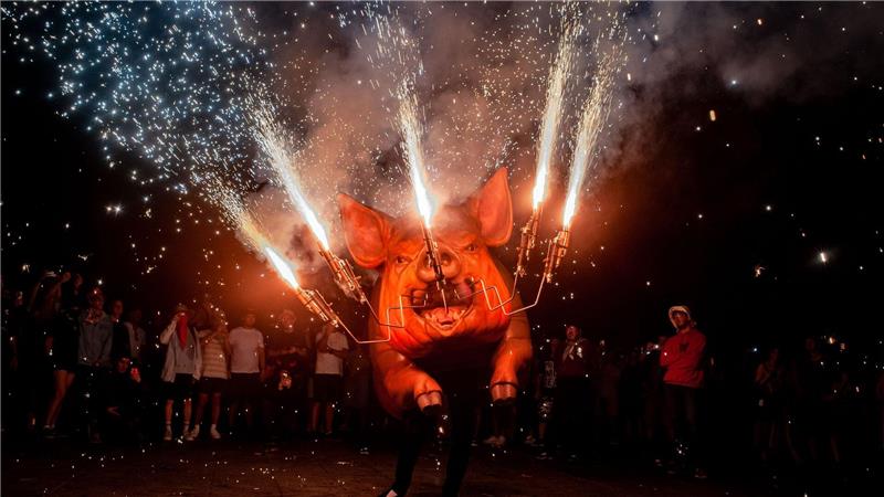 Bilder des Tages Höllenschwein sorgt für Funkenregen beim Correfoc in Barcelona