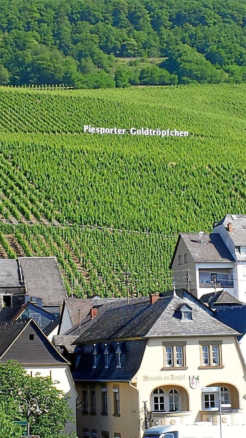 Hollywood an der Mosel: Große weiße Buchstaben benennen die Weinlagen, die jahrzehntelang – leider nicht immer positiv – als Inbegriff des deutschen Weißweins galten. Dass man jenseits des Massentourismus, wie etwa im beschaulichen Weinort Nittel, in einem Winzerhof neben den sehr guten eigenen Sekten und Weinen „Dreierlei von der Garnele mit Blumenkohlcreme und Sommertrüffel“ zu einem erstaunlich fairen Preis serviert bekommt, zeigt den wachsenden Qualitätsanspruch vor allem jüngerer Winzer, der einen Imagewechsel an Mosel dokumentiert.  Fotos: Horn