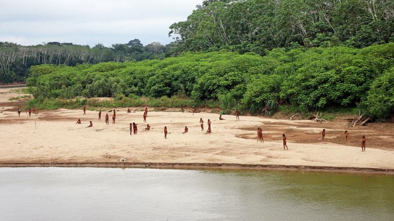 Holzfäller kommen den Indigenen gefährlich nahe.