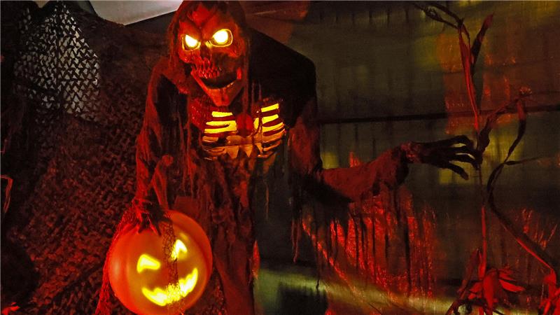 Halloween in Goslar – Das wird geboten Horror vom Feinsten: „Schelloween“ lehrt seine Besucher das Fürchten.