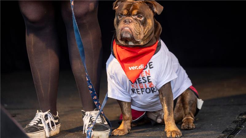 Hund Henry beim Verdi-Streik