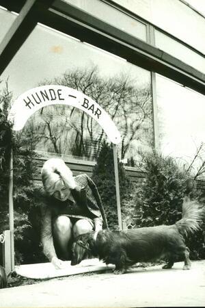 Das sind Bad Harzburgs kurioseste Tiergeschichten Hund Waldi feiert die Eröffnung der Hundebar mit ein paar Leckerlies.