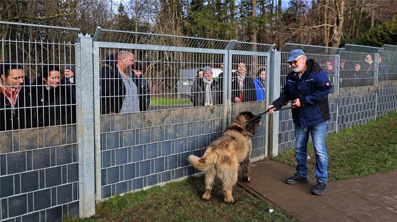 An Heiligabend freuen sich traditionell die Tiere Hunde, die ein neues Frauchen oder Herrchen suchen, stellen sich dem Publikum vor.