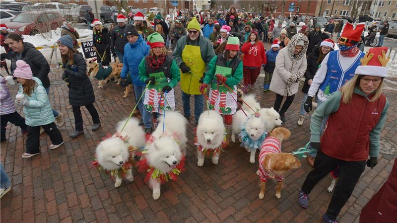 Hunde und ihre Besitzer ziehen während der jährlichen Reindog Parade durch die Innenstadt.