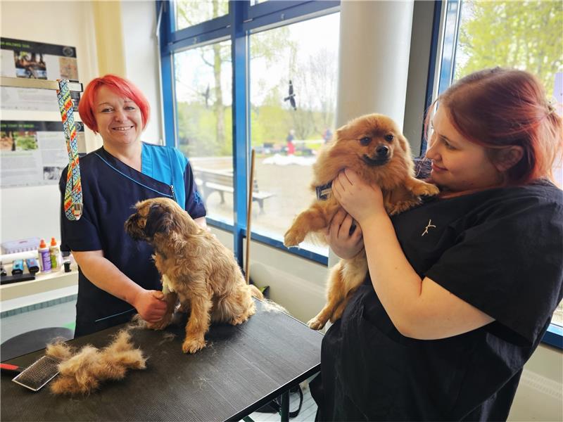 Hunde-Messe in Hahnenklee war ein Besuchermagnet Hundefriseurin Ramona Bilka (links) sorgt dafür, dass das Fell bei den Vierbeinern perfekt sitzt. Foto: Sowa