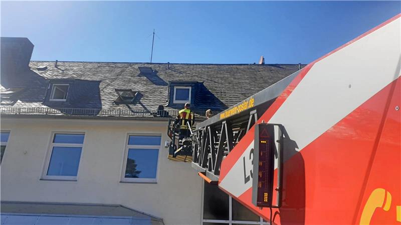 Verklettert: Goslarer Feuerwehr holt Hündin Nera vom Dach Hunderettung in schwindelnder Höhe mit Herrchen und Drehleiter. Foto: Feuerwehr