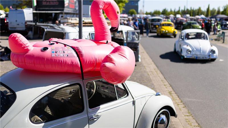 Hunderte Oldtimer-Liebhaber kommen zum „MaiKäfertreffen“.
