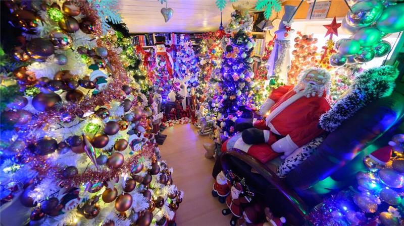Hunderte Weihnachtsbäume finden in einem Haus in Niedersachsen Platz (Archivbild).
