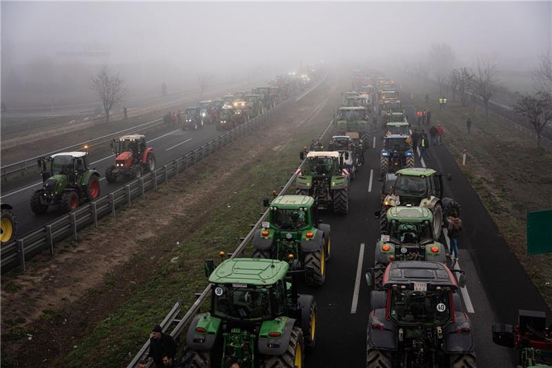 Hunderte von katalanischen Landwirten und Viehzüchtern haben sich den Protesten auf europäischer Ebene angeschlossen.