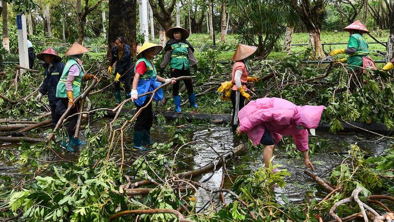 Dutzende Tote und Vermisste nach Taifun in Vietnam Hunderttausende Bäume wurden den Angaben zufolge entwurzelt.