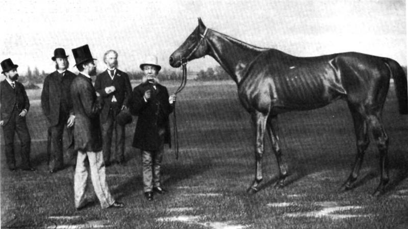 Hymenaeus, der erste Harzburger Derbysieger, präsentiert sich 1872 nach seinem Rennen.